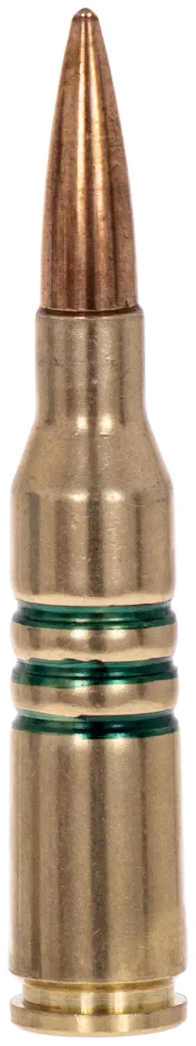 Патрон-імітатор STS DUMMY учбовий 5.45x39